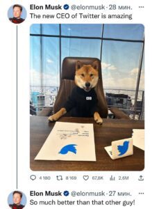 Илон Маск назначил собаку директором твиттер